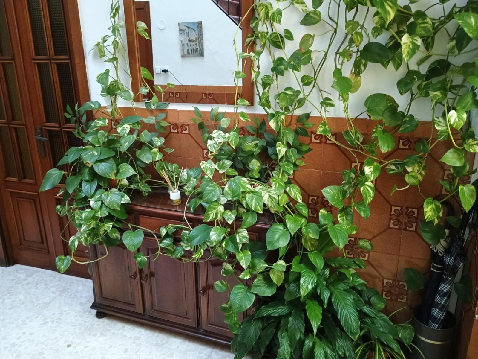 Casa Matbel Lägenhet Córdoba Exteriör bild